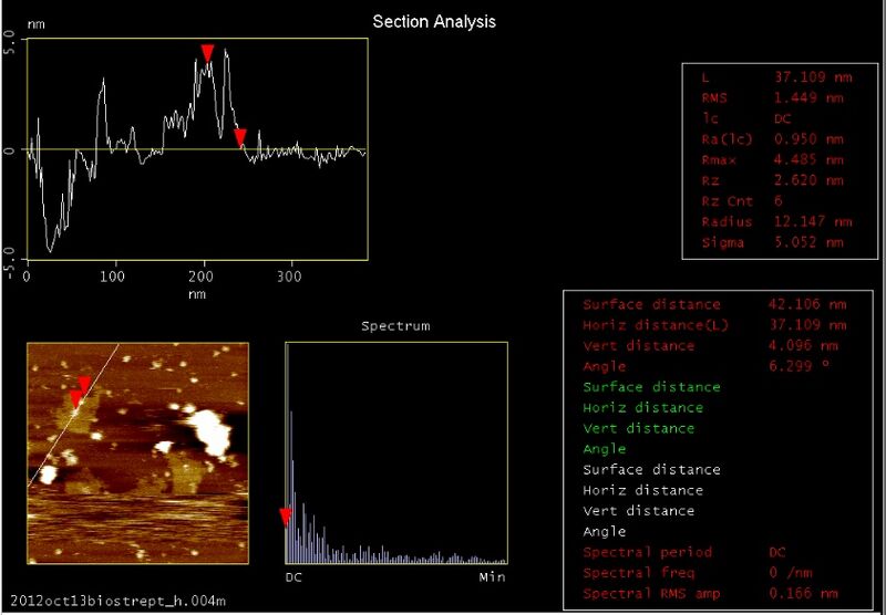 File:Biomod-2012-UToky​o-UT-Hongo-AFM closeSA analysis7.jpg