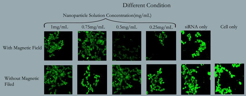 File:HKBUcomparison np.jpg
