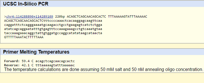Non-Diseased Forward Primer