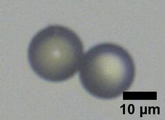 After first deposition