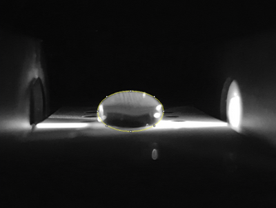 Negative Control Picture