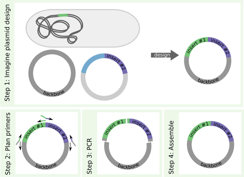 File:Gibson overview cartoon JM.jpg
