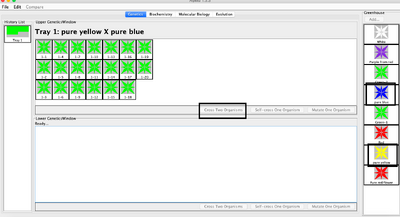 result of blue plus yellow
