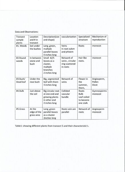 File:Feb12th lab data.jpg