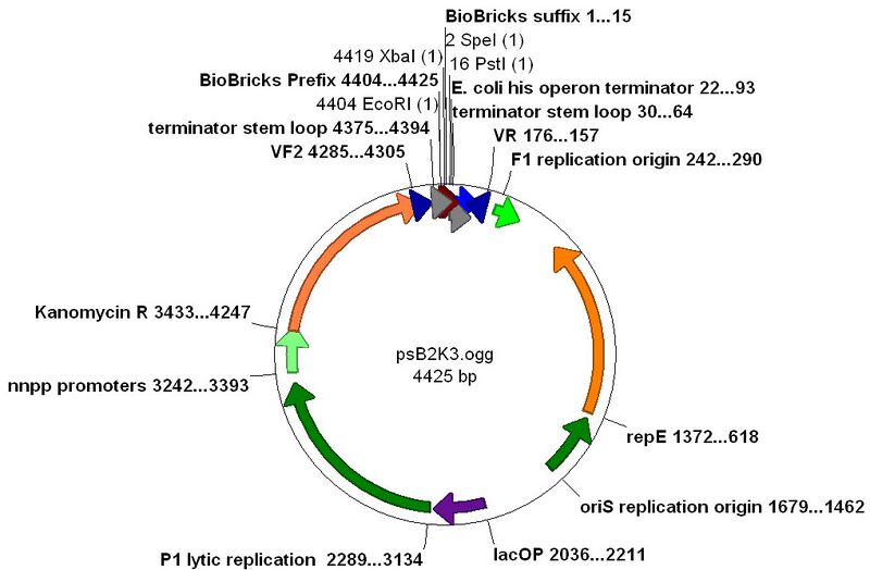 File:PSB2K3 map.jpg