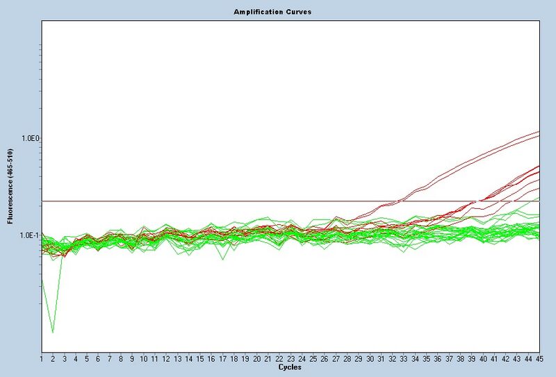 File:S14 M3D5 TR 18S-noiseband.jpg