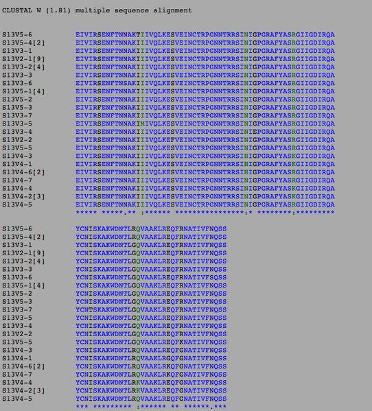 File:Sequence alignment for subject 13.png