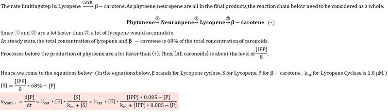 File:Velocity of B-caro production.jpg