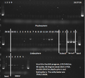 Thumbnail for version as of 03:12, 12 December 2011