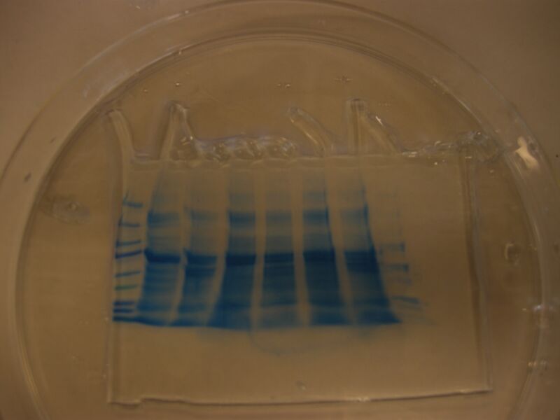 File:S10 M2D6 TR Blue.JPG