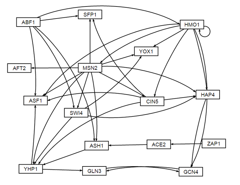 File:Wt network visualized NW unweighted.png
