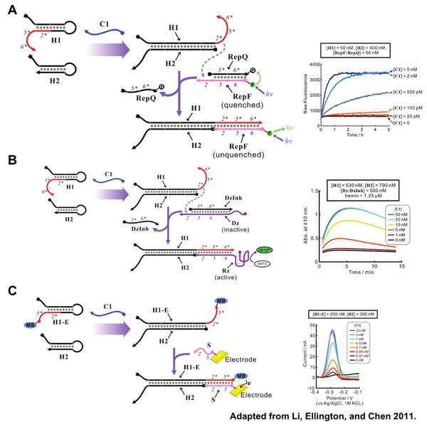 File:Cha signals.png