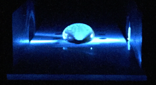 File:CalfThymus.25 Group5 BME1030.jpg