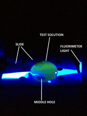 Proper Fluorimeter Assembly