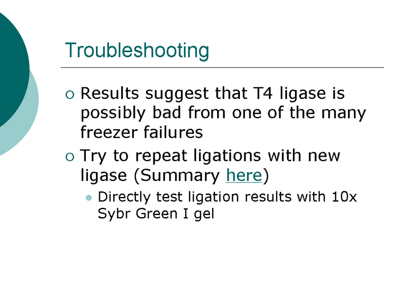 File:PSU GFL 2007 79m Slide 5.PNG