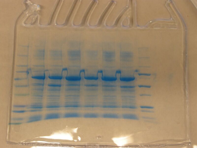 File:S09 M1D6 TR Green.JPG