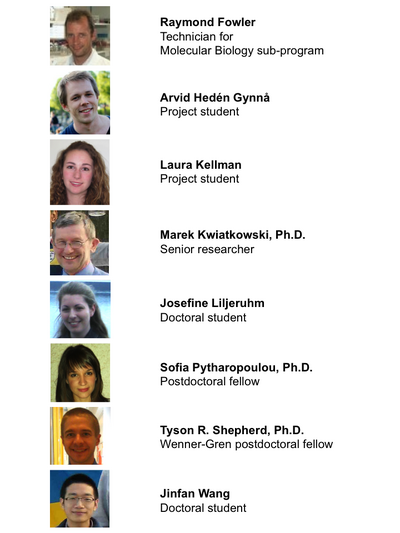 Minimal Cell Project