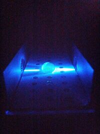 The image of the positive control before analysis