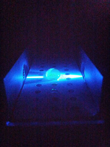 File:Positive Control.jpg