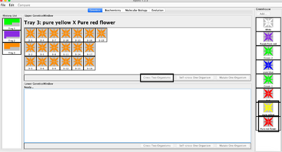 result of red plus yellow
