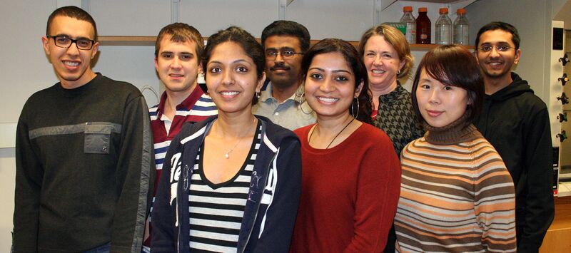 File:TOPPLab Jan2013 WEB.jpg