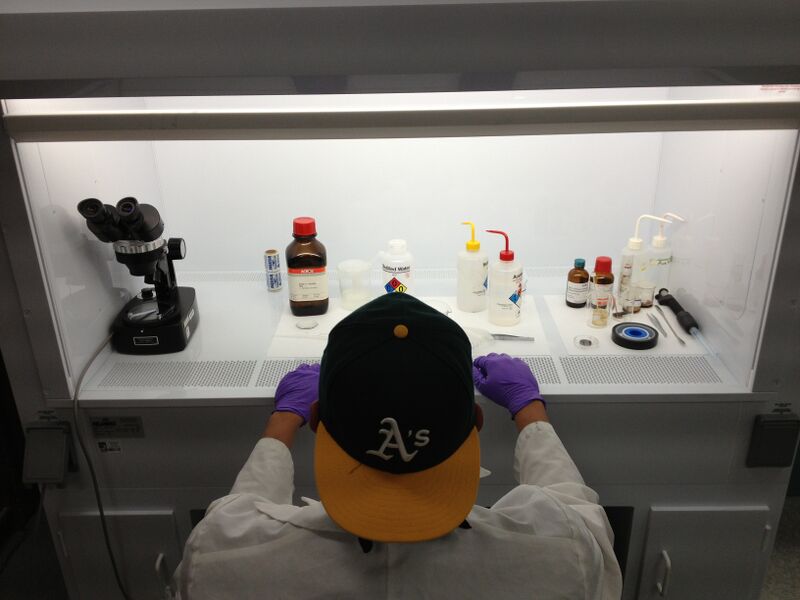 File:CHEM LAB (SU-8) 041.JPG