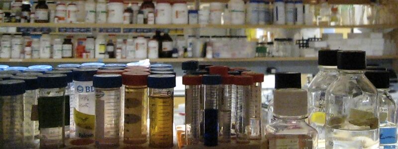 File:Macintosh HD-Users-nkuldell-Desktop-labbottles.jpg