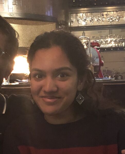 File:Vasu Samhita.JPG