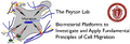 Thumbnail for version as of 13:25, 6 October 2010