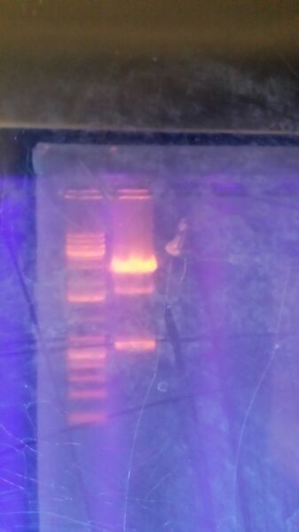 File:2014-03-22 10.07.35.jpg