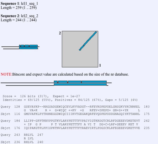 File:Macintosh HD-Users-nkuldell-Desktop-BlastP SGF29 SpvSc.jpg