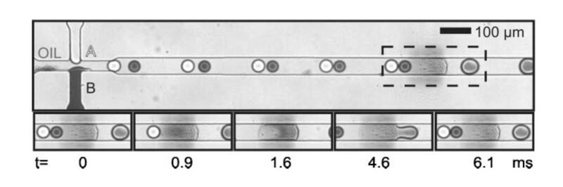 File:Surface modification.jpg