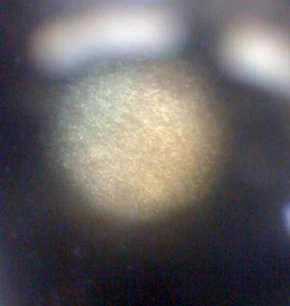 File:Zein protein film.JPG