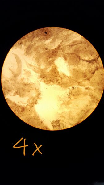 File:2016-01-20 12.46.33.jpg