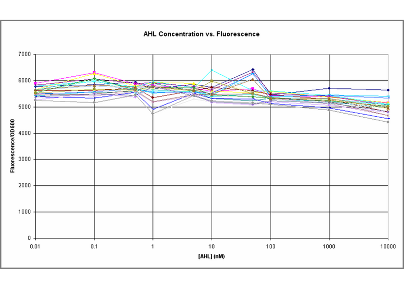 File:240806 J37020.png