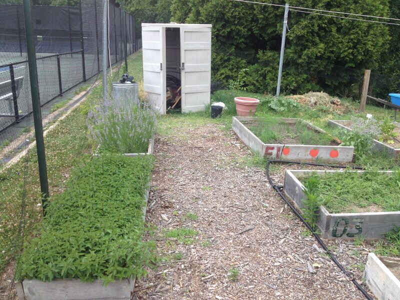 File:Aerial Overview of Farm.png