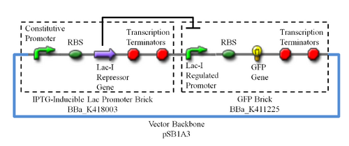 Device Design for "Sweet Cyan"