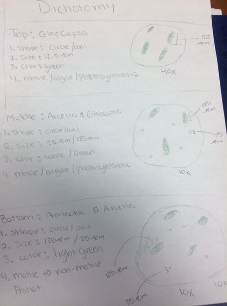 File:FullSizeRender (5).jpg