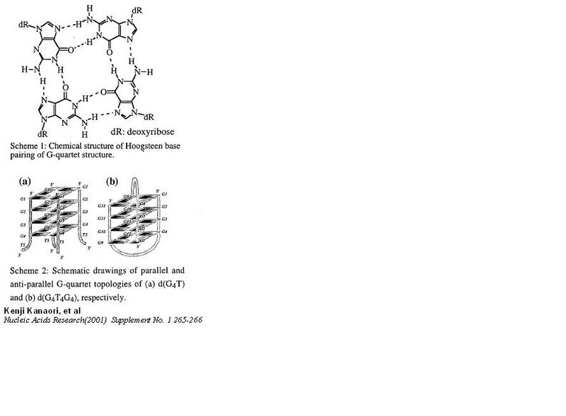 File:G quartet Structure.JPG