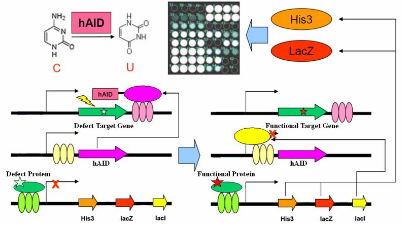 File:New General Circuit.jpg