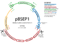 Thumbnail for version as of 12:33, 5 September 2008