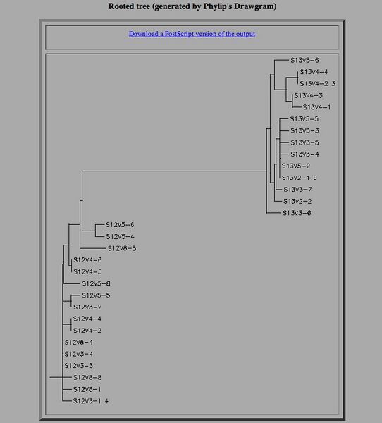 File:Rooted Tree.jpg