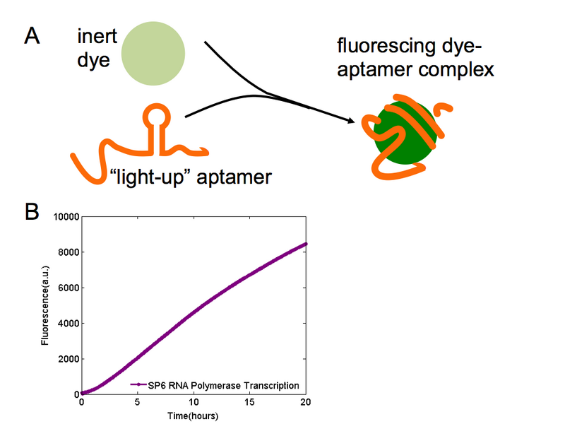 File:Spinach dye.003.png