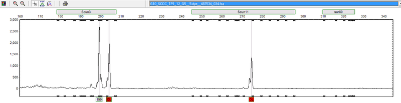 File:20120120 sar80 TP112.png