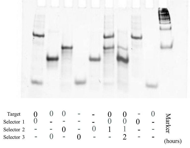 File:201120820 20- ②.jpg