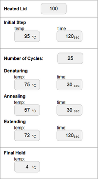 PCR interface with values listed above inserted