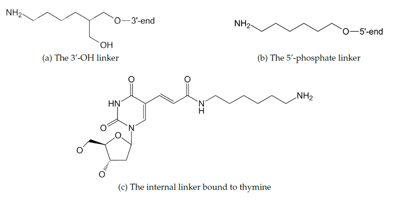 File:DKnano 6-linkers.png