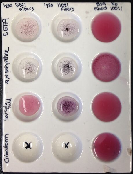 File:Feb 18 Pic 2.jpg