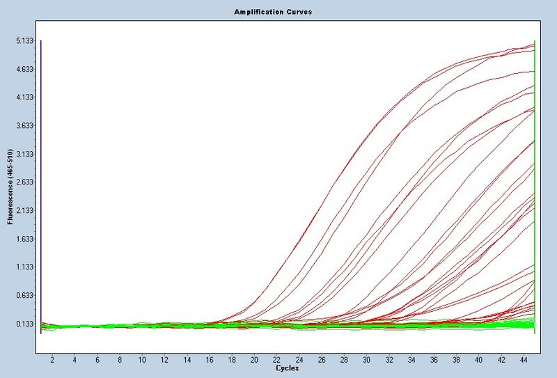 File:S14 M3D5 TR raw.jpg