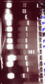 Thumbnail for version as of 13:42, 22 August 2006